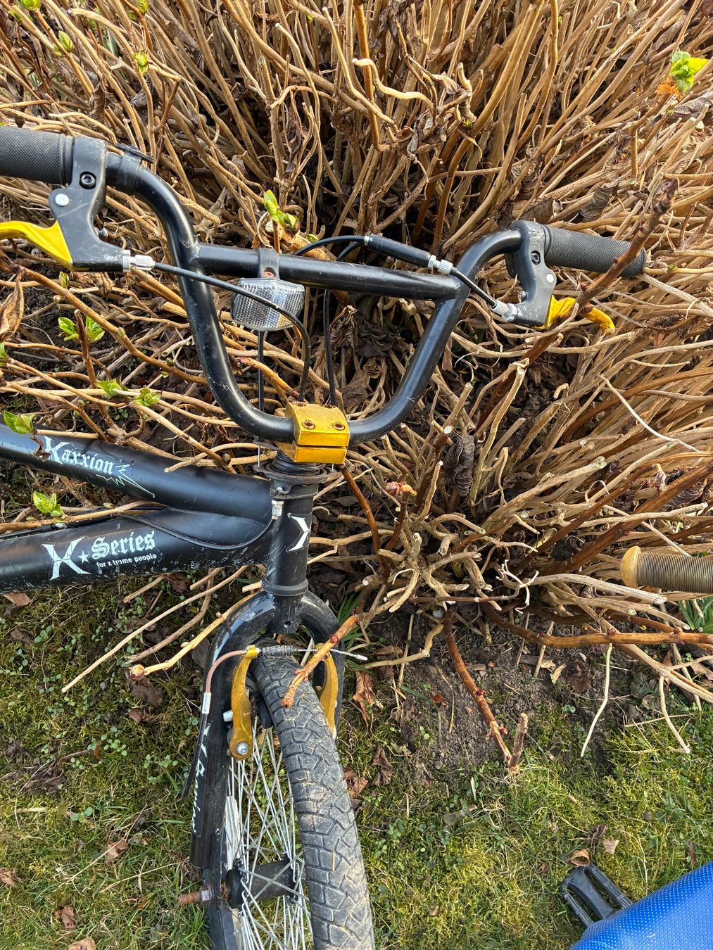 Biciclette: BMX Fahrrad – Usato da Mamishaus venduto da Eferdinand 3