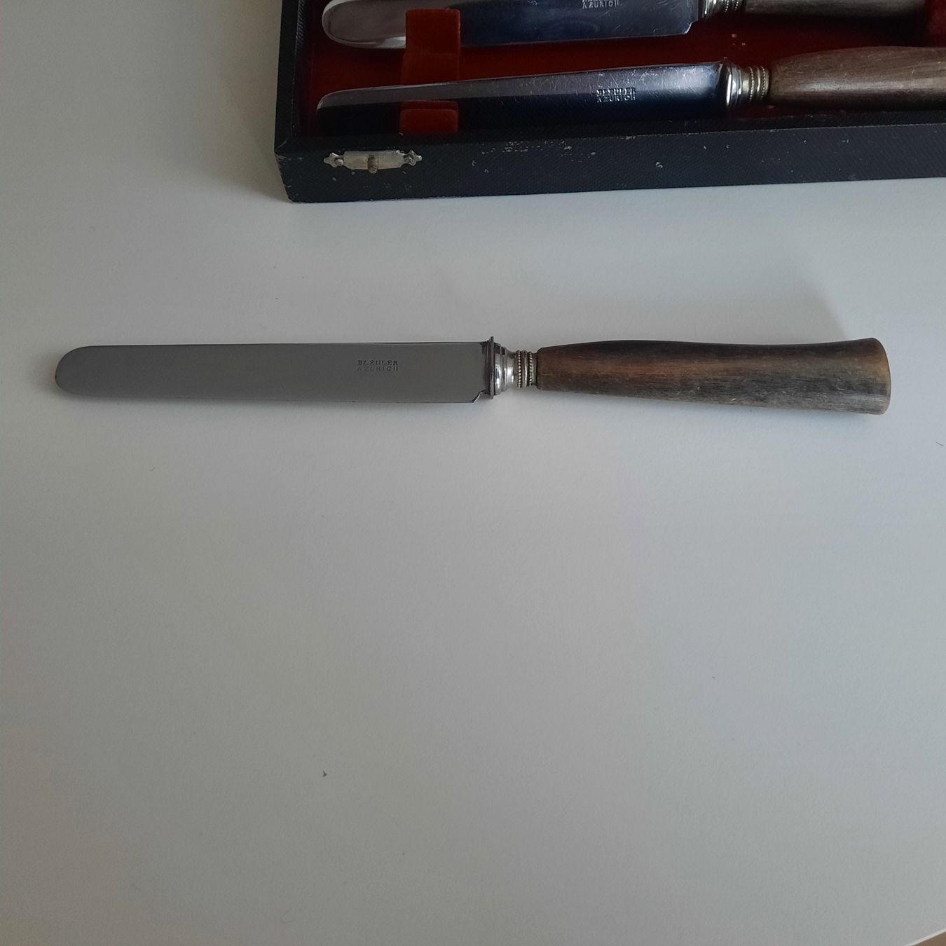 Coltelli: Messerset Obst Sechzigerjahre – Usato da Wetzikon venduto da Perle025 8