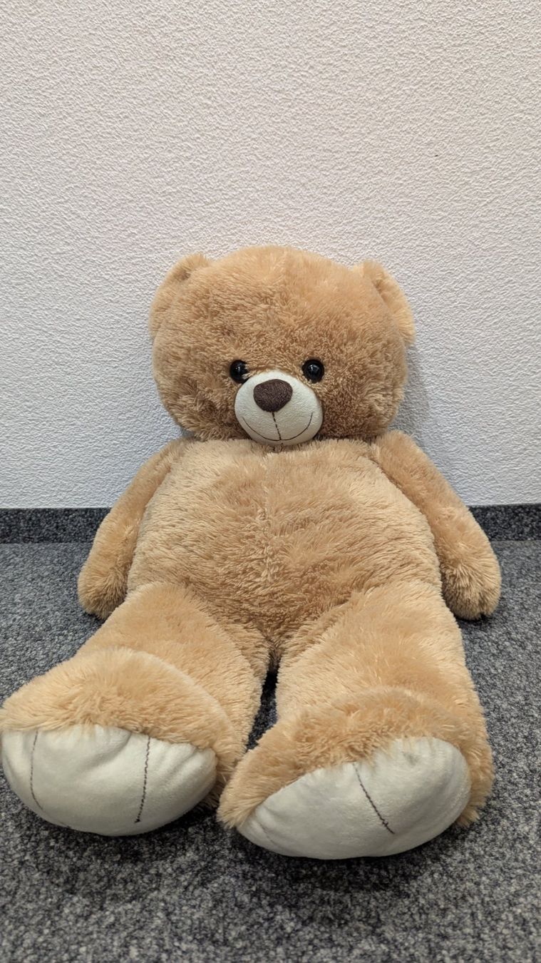 Giocattoli: Grosser Kuschelbär – Usato da Frauenfeld venduto da mf2_yb66