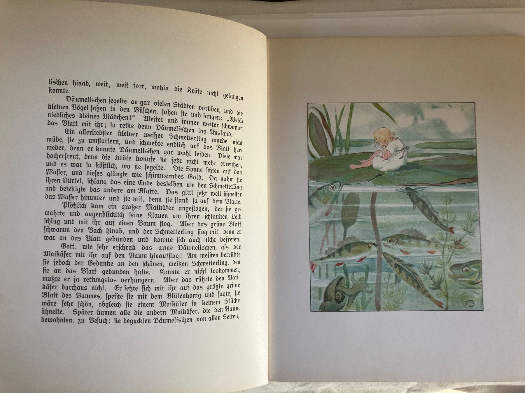 Libri: Däumelis`chen Märchen von Andersen  Bilder von Elsa Beskow – Usato da ZUERICH venduto da Carolus1 5