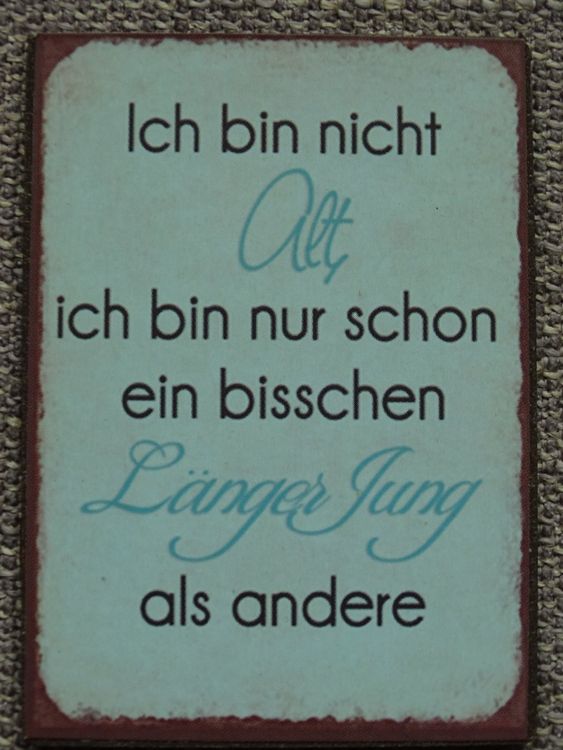 ironischer Spruch ca. 7x5cm Kaufen auf Ricardo