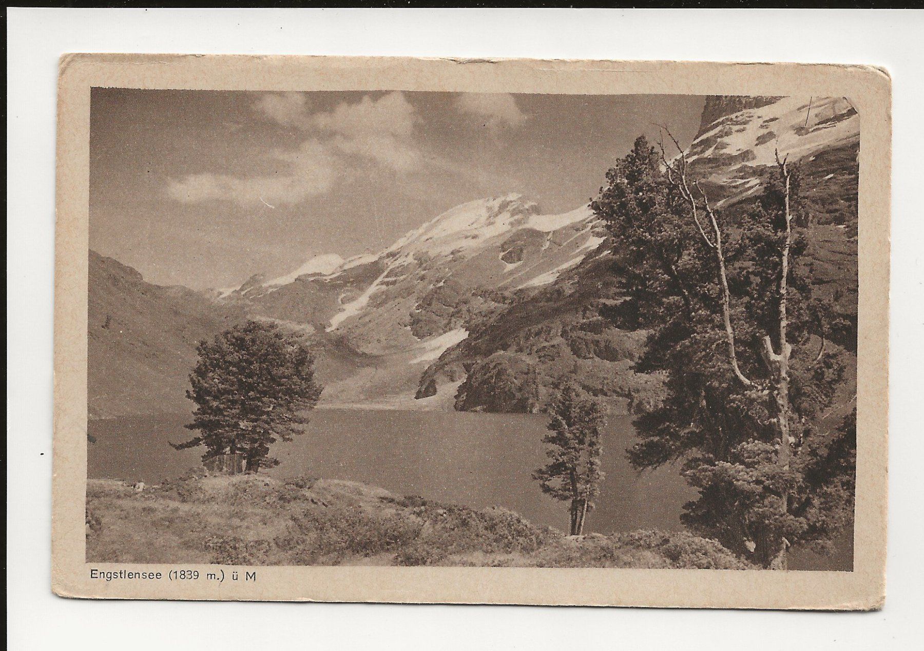 Cartoline postali: AK 1919  Engstlensee BE – Usato da Greifensee venduto da 315WDO