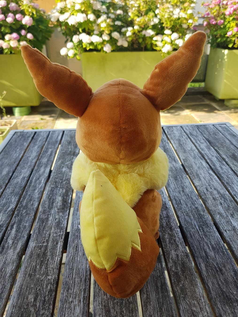 Pokémon Spielzeuge: Plüschfigur Evoli – Gebraucht aus Jona von dampfnuggi 2