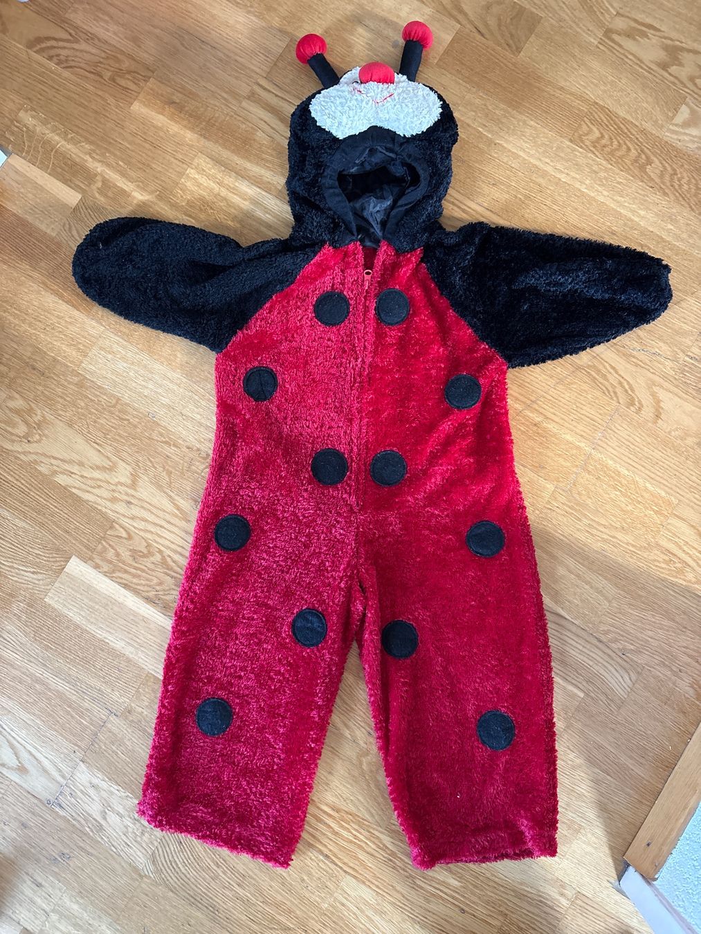 Costumi: Marienkäferkostüm – Usato da Zürich venduto da Fabienne059