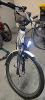 E-Bike Flyer Next Generation 36V, ohne Akku und Ladegräte!!!