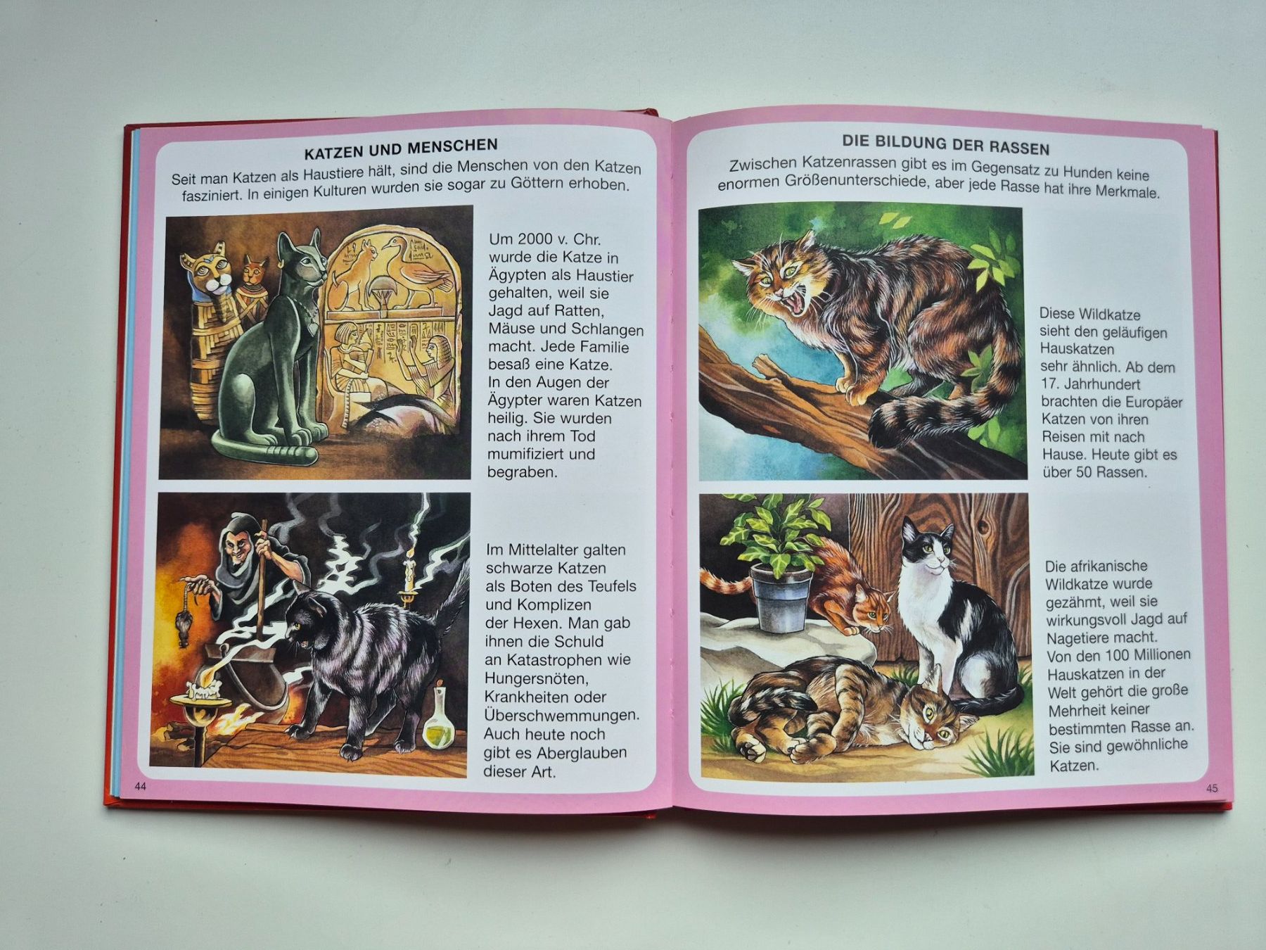 Libri: Entdecken Erfahren Erzählen   HAUSTIERE – Usato da Niederweningen venduto da Obson 2