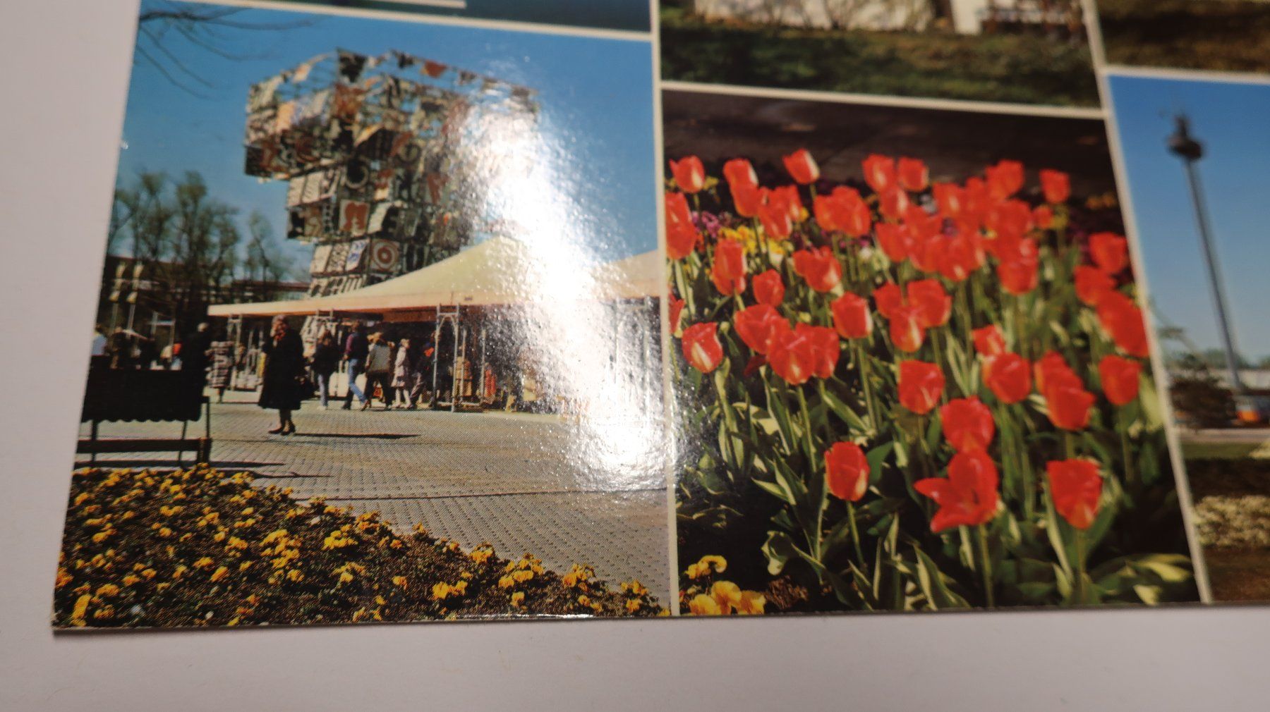 Cartoline postali: Grün 80 basel  1980 – Usato da Cormoret venduto da Pascalll2001 2