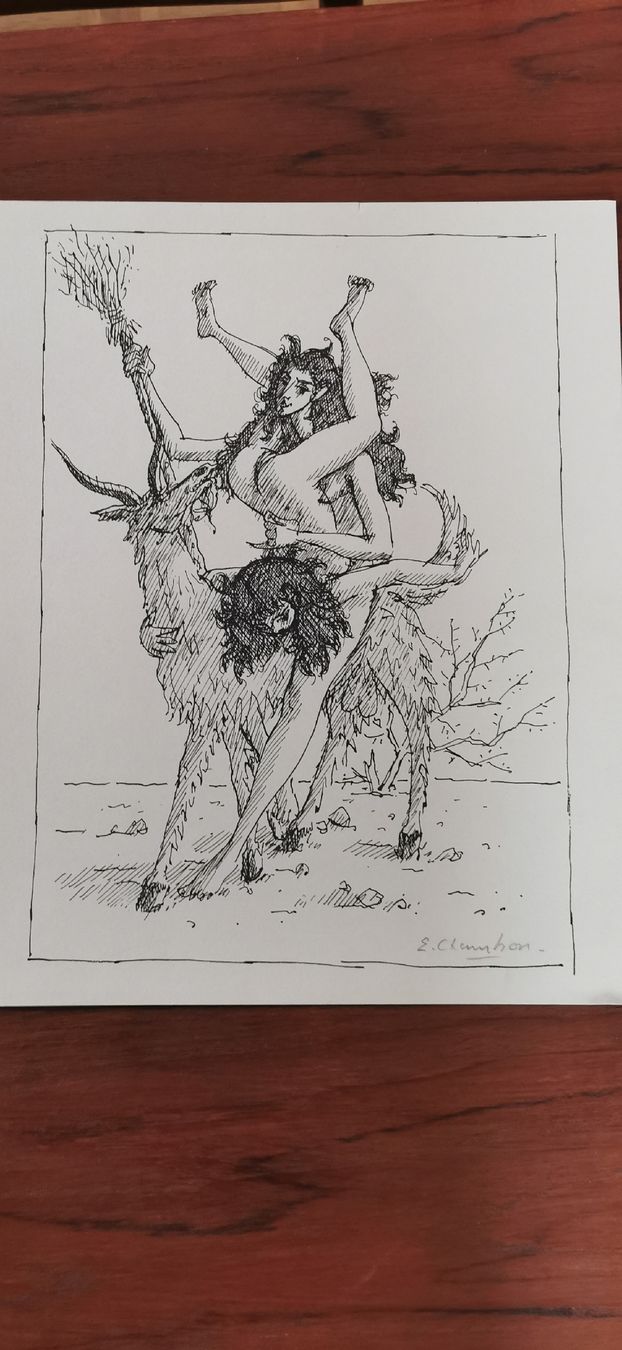 Grafica & Litografie: Emile Chambon – Usato da Vésenaz venduto da Angela.C3 2