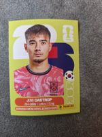 Panini WM 2026 KOR 15 Castrop