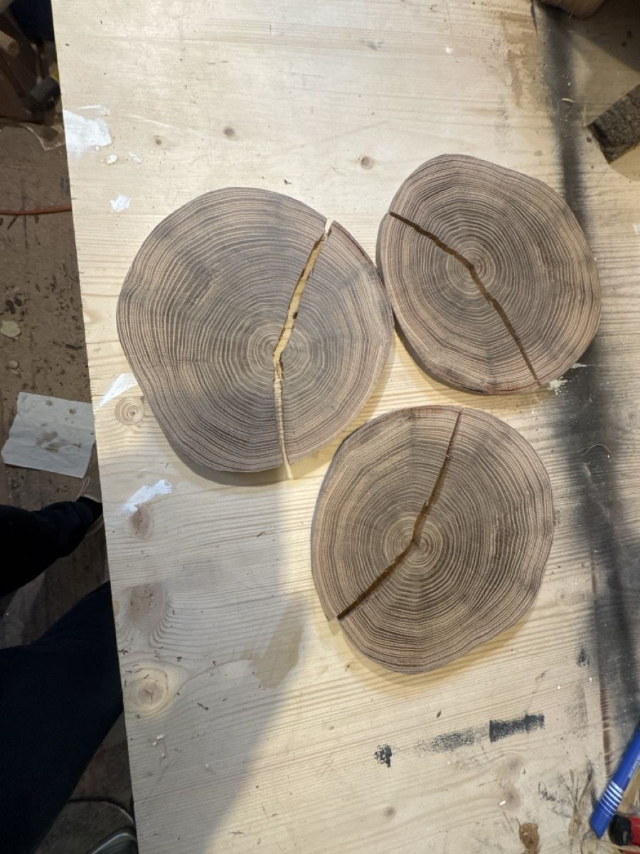 Holzartikel: Deko Holzscheiben Baumscheiben – Gebraucht aus Brunnen von Holz-style 3