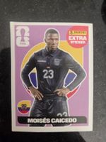 Panini FIFA WM 2022 Extra Sticker Moisés Caicedo Ecuador