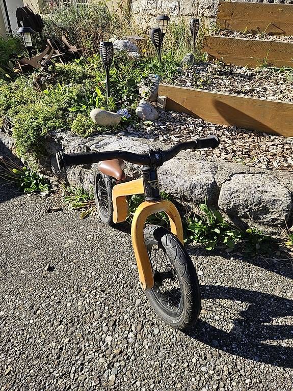 Early Rider Velos: Early Rider Bamboo – Gebraucht aus Günsberg von gix01 2