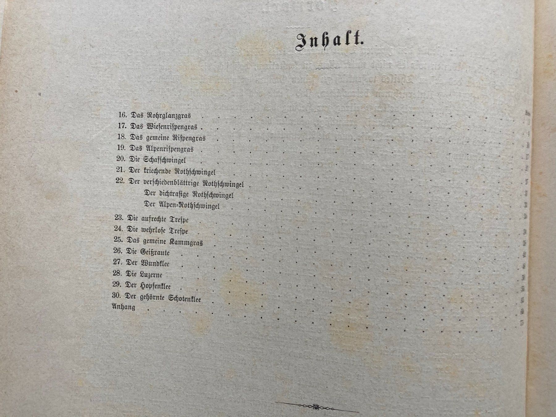 Bücher: Die besten Futterpflanzen – Gebraucht aus Mirchel von buecher_wurm 2