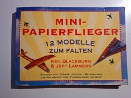 Mini-Papierflieger Buch: 12 Modelle zum Falten