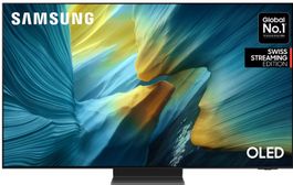 Samsung 55 Zoll Premium TV - One Connect Box - OLED - 2025