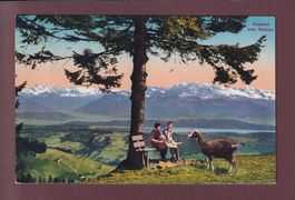 BACHTEL-KULM - Ziege - Kinder - 1921