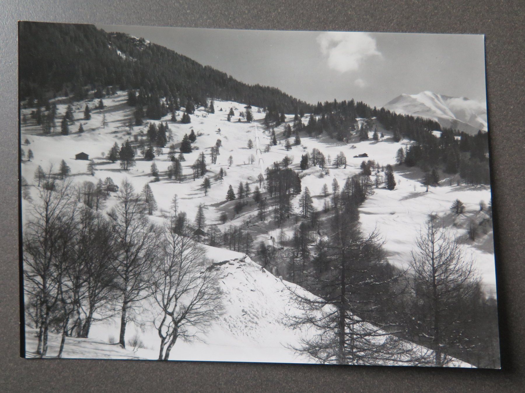 Cartoline postali: FELDIS IM DOMLESCHG - SKILIFT – Usato da Wittenbach venduto da lipasal