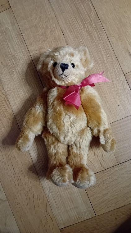 Ours en peluche Teddy - En Transparence