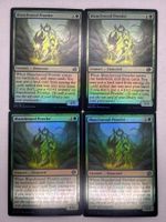 4x MTG - Blanchwood Prowler - Foil - Brothers' War!