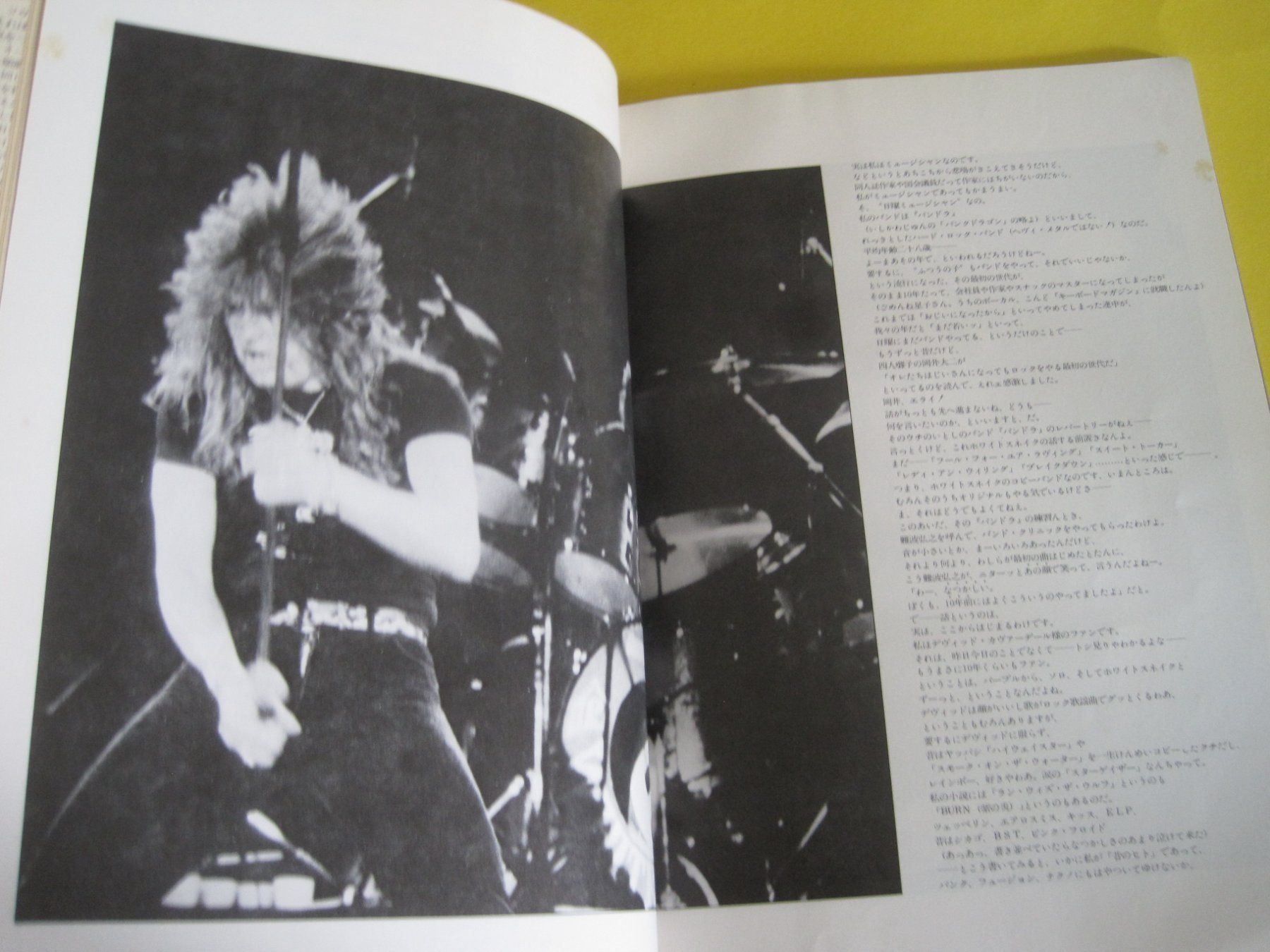 Libri: Viva Rock Blackmore Deep Purple MSG 1981 – Usato da Gossau SG venduto da Noryflory 5