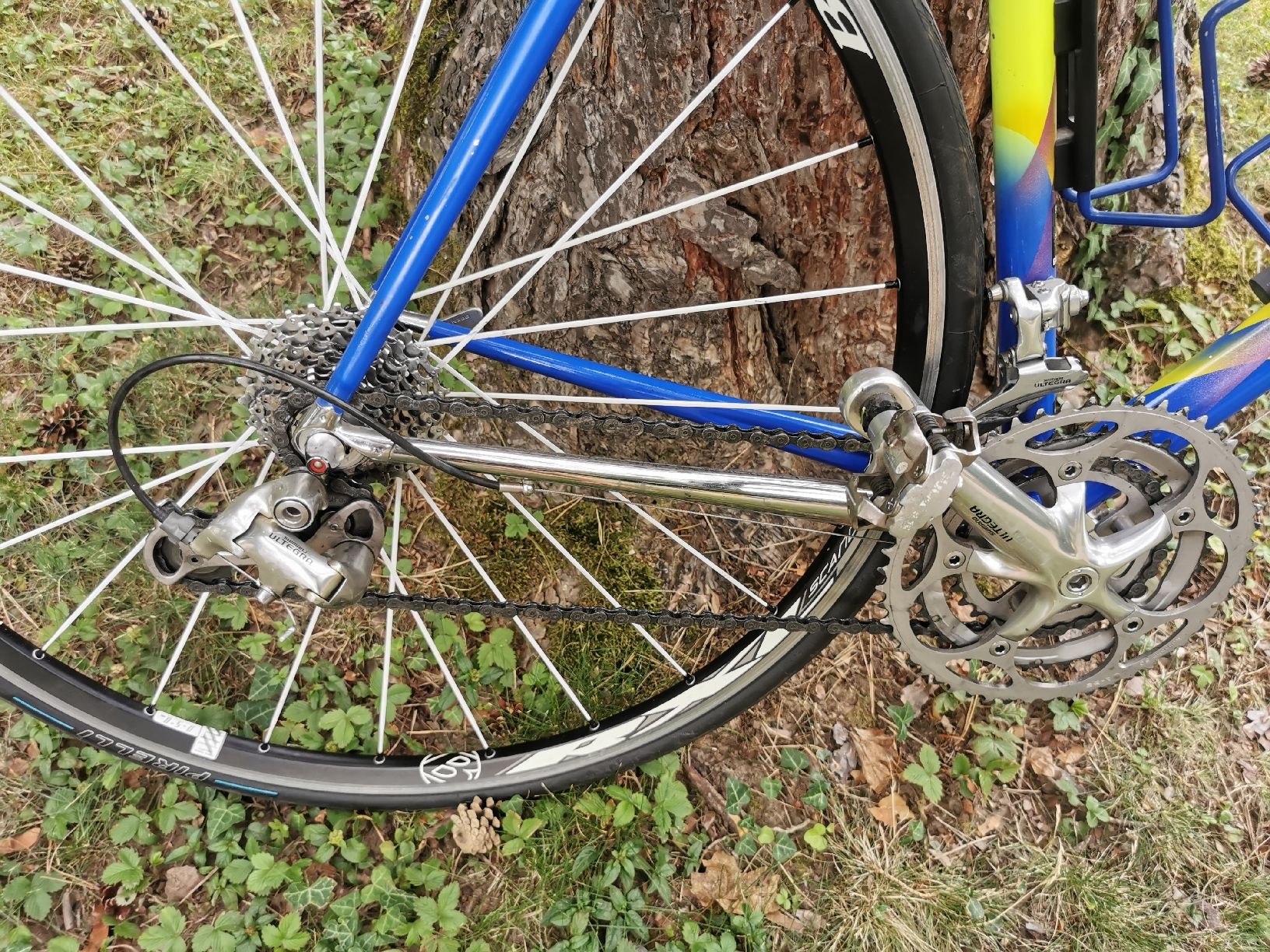 Velos: Wilier Rennvelo  – Gebraucht aus Schwerzenbach von rao_m26t 1