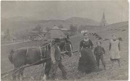 LANDWIRTSCHAFT/MISTEN 1920 mit Pferd BE/FR?