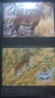 Äthiopien 1990 Satz WWF Steinbock Maximumkarten