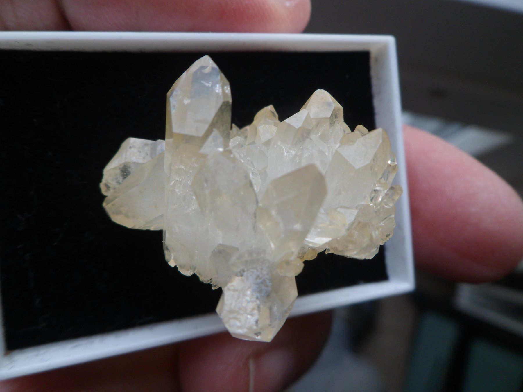Mineralien & Heilsteine: Bergkristall Schinschlucht – Neu (gemäss Beschreibung) aus Affoltern am Albis von Fossil60