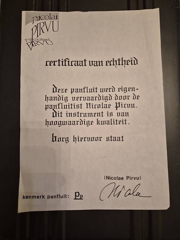 Musikinstrumente: Panflöte (mit Zertifikat) – Gebraucht aus Jona von cri_8k9k 2