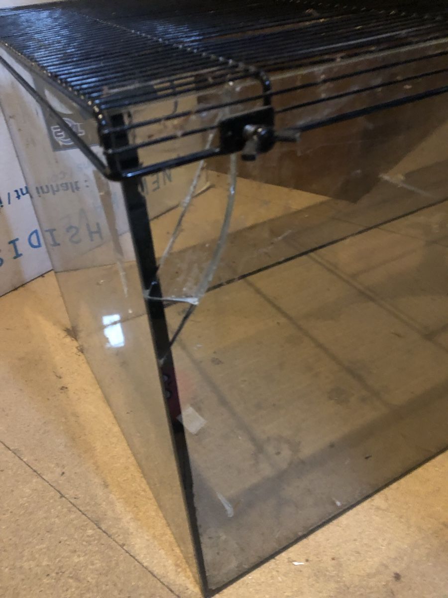 Terrarium: Terrarium /Glass – Gebraucht aus Olten von Lara1967 3