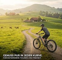 Neues Herren E-Mountainbike S-XL