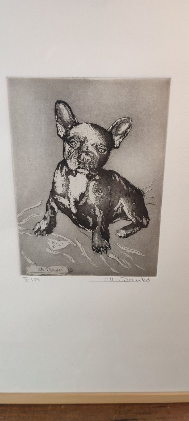 Foto & Immagini: Wunderschönes Bild von einem Hund von M.Danko – Usato da Gelterkinden venduto da MYSTOREFORYOU4460ART 1