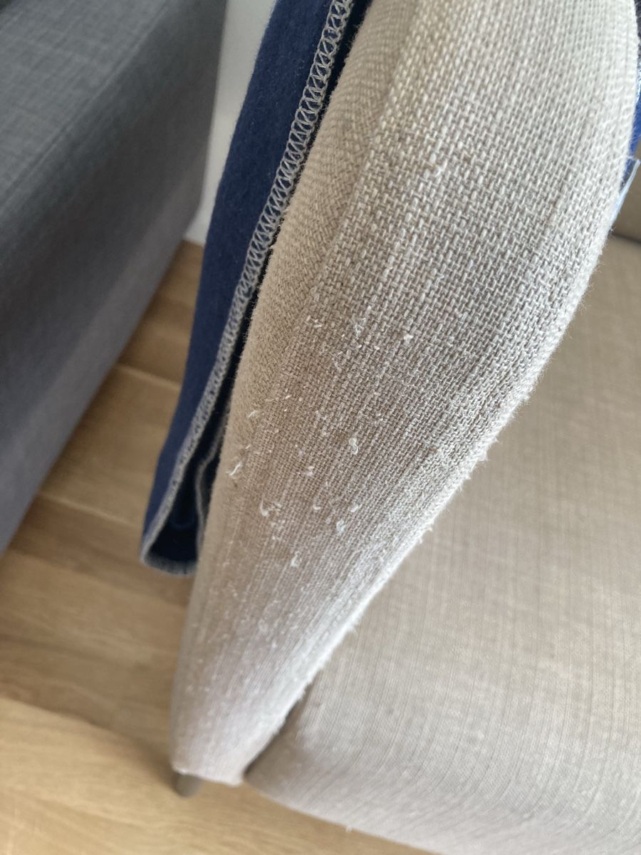 Ikea Poltrone: Sesseln (2 light brown sofà Chairs) – Usato da Zürich venduto da ele_8zjr 2