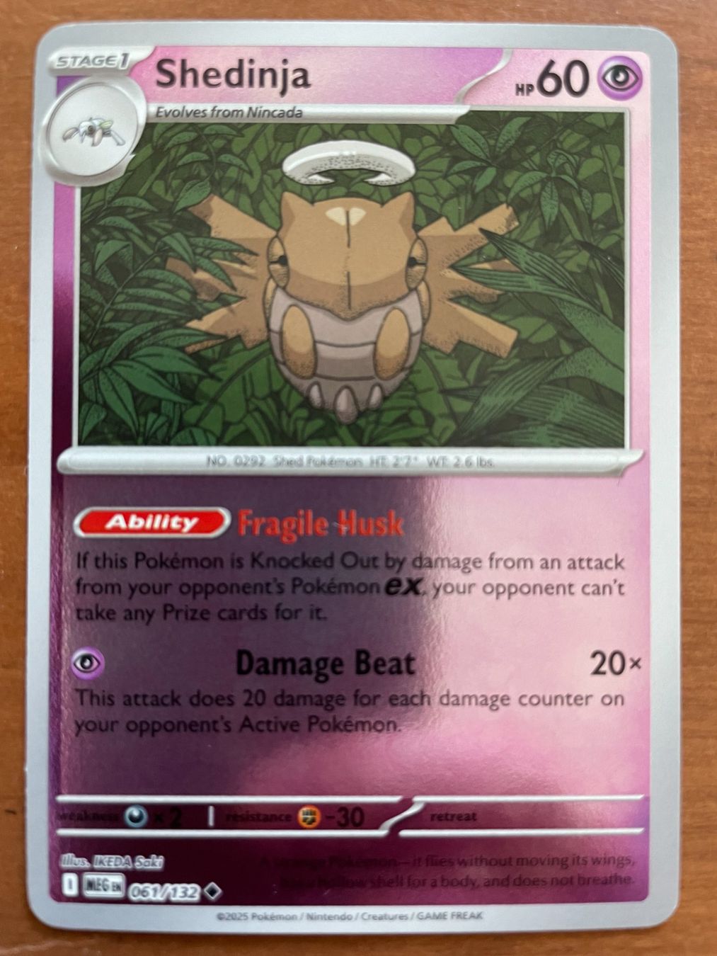 Pokémon Carte collezionabili: Pokemon Shedinja Reverse (Versand gratis) – Nuovo (secondo la descrizione) da Chur venduto da Angerson