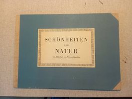 Niklaus Stoecklin - Schönheiten der Natur Bilderbuch
