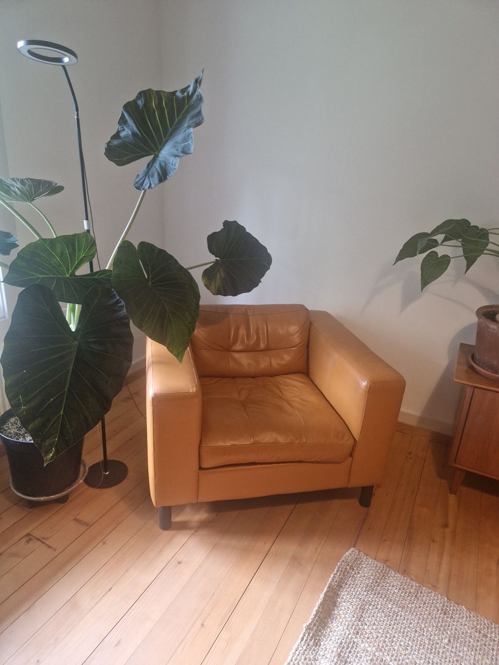 Sessel: Sessel Kunst Ledercouch braun guter Zustand – Gebraucht aus Bern von DrGoalie 2