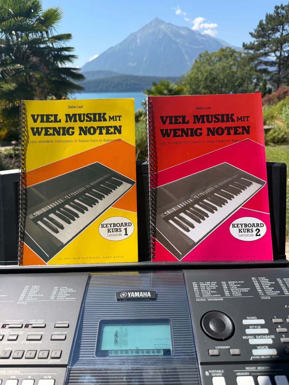Yamaha Strumenti musicali: Keyboard Yamaha PSR-E423 Serie 1861 – Usato da Gunten venduto da siderato 9