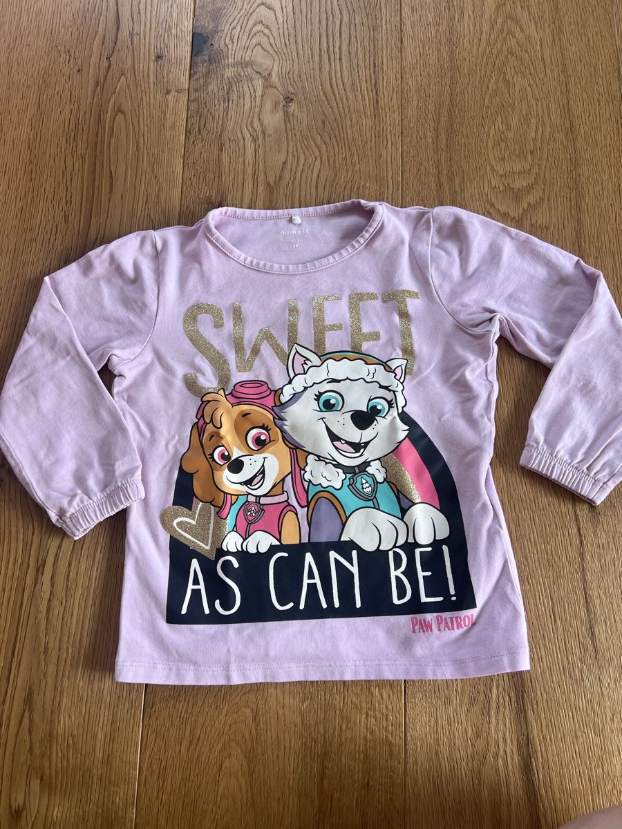 Pulls et sweat-shirts: Paw Patrol Grösse 98 – D'occasion à Breitenbach par Saskia.Betschart