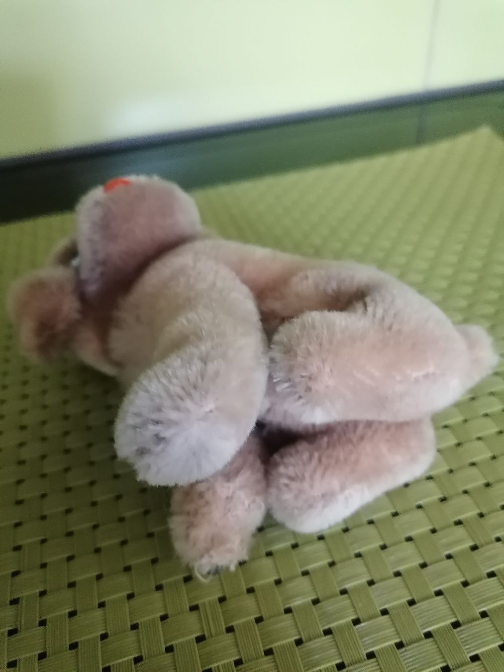 Steiff Jouets: Steiff Hund Mopsy 12cm – D'occasion à Biberist par troedlerheinz 3