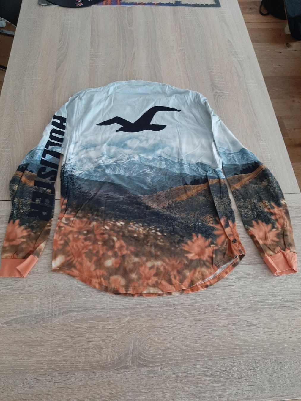 Hollister Maglioni & Felpe: Hollister Sweater Gr. L bunt – Usato da Menziken venduto da Rien1 1