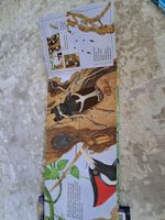 Buch "Insekten" Tiere Kinder Sachbuch illustriert gebraucht