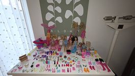 Barbie Set mit Pferd, Kleidung und Zubehör