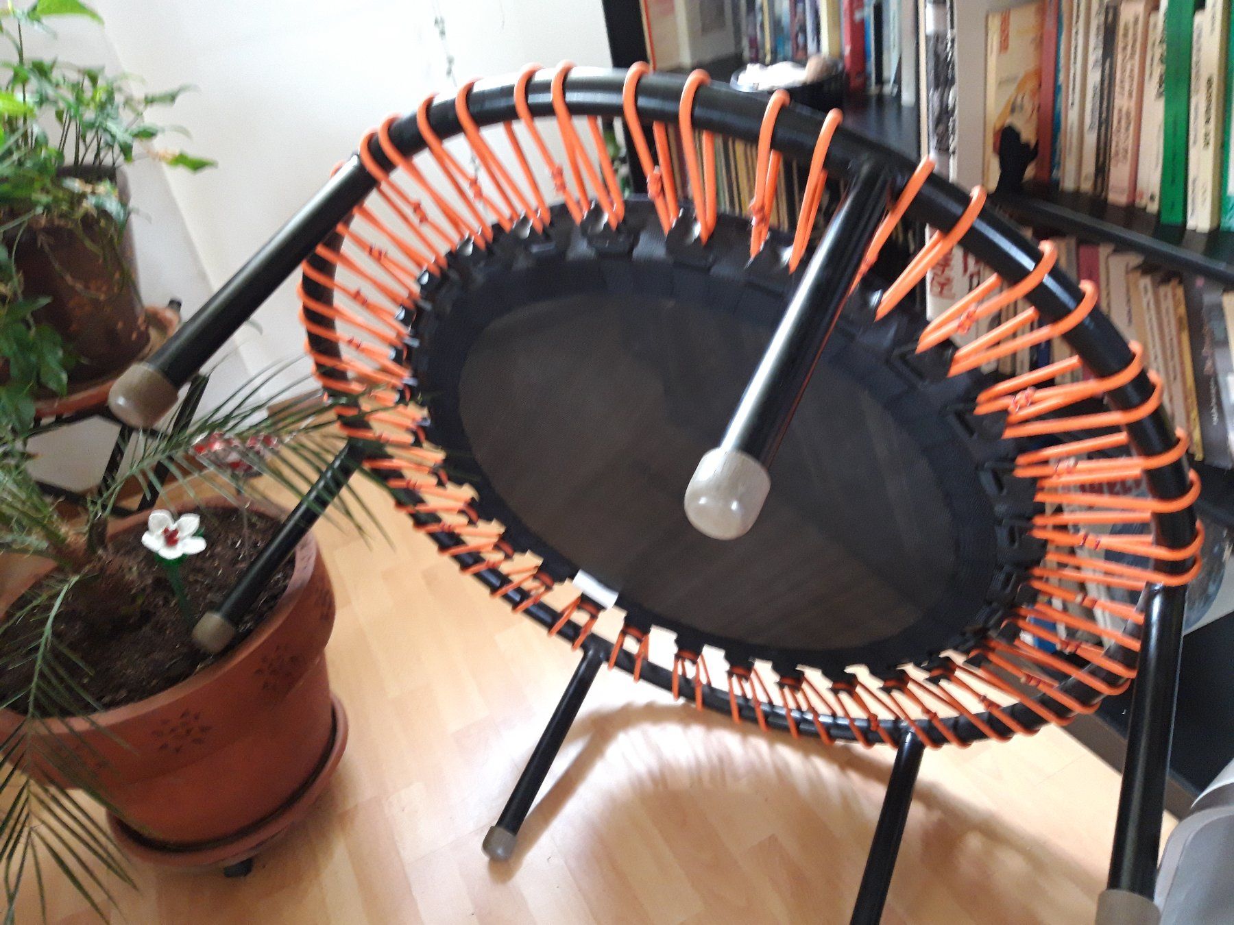 Trampoline: Bellicon-Trampolin zu verkaufen – Gebraucht aus Wallisellen von jeannine.horni