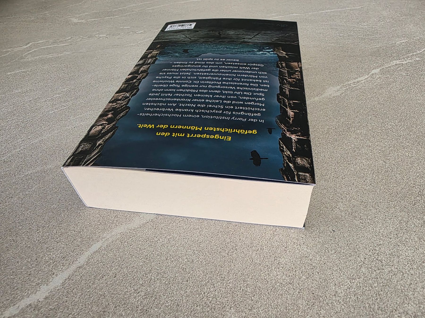 Libri: Helen Fields – The Institution – Usato da Kaiseraugst venduto da Haubitz60 5