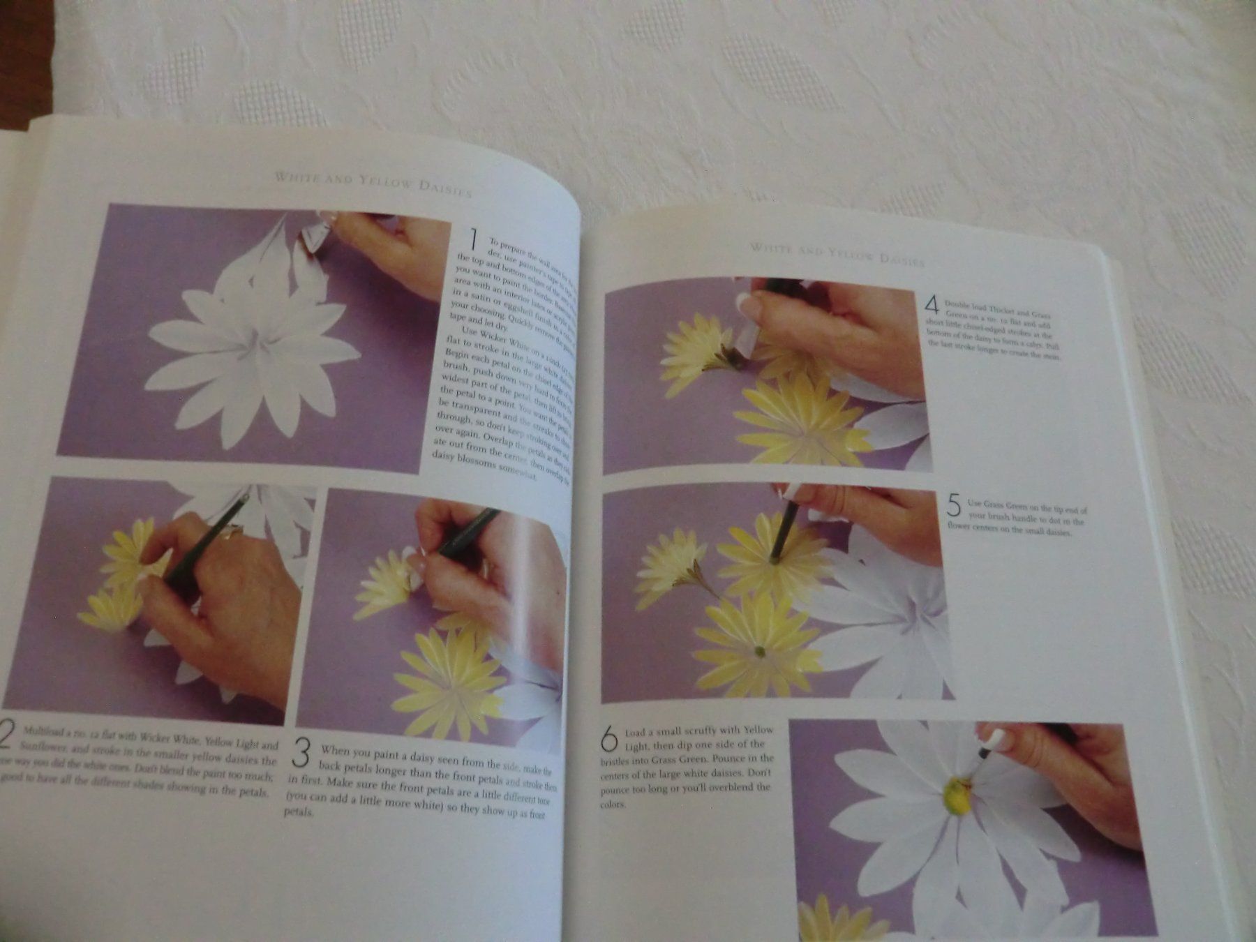Libri: Donna Dewberry Malbücher Set, – Usato da Brunnen venduto da Gery6 6