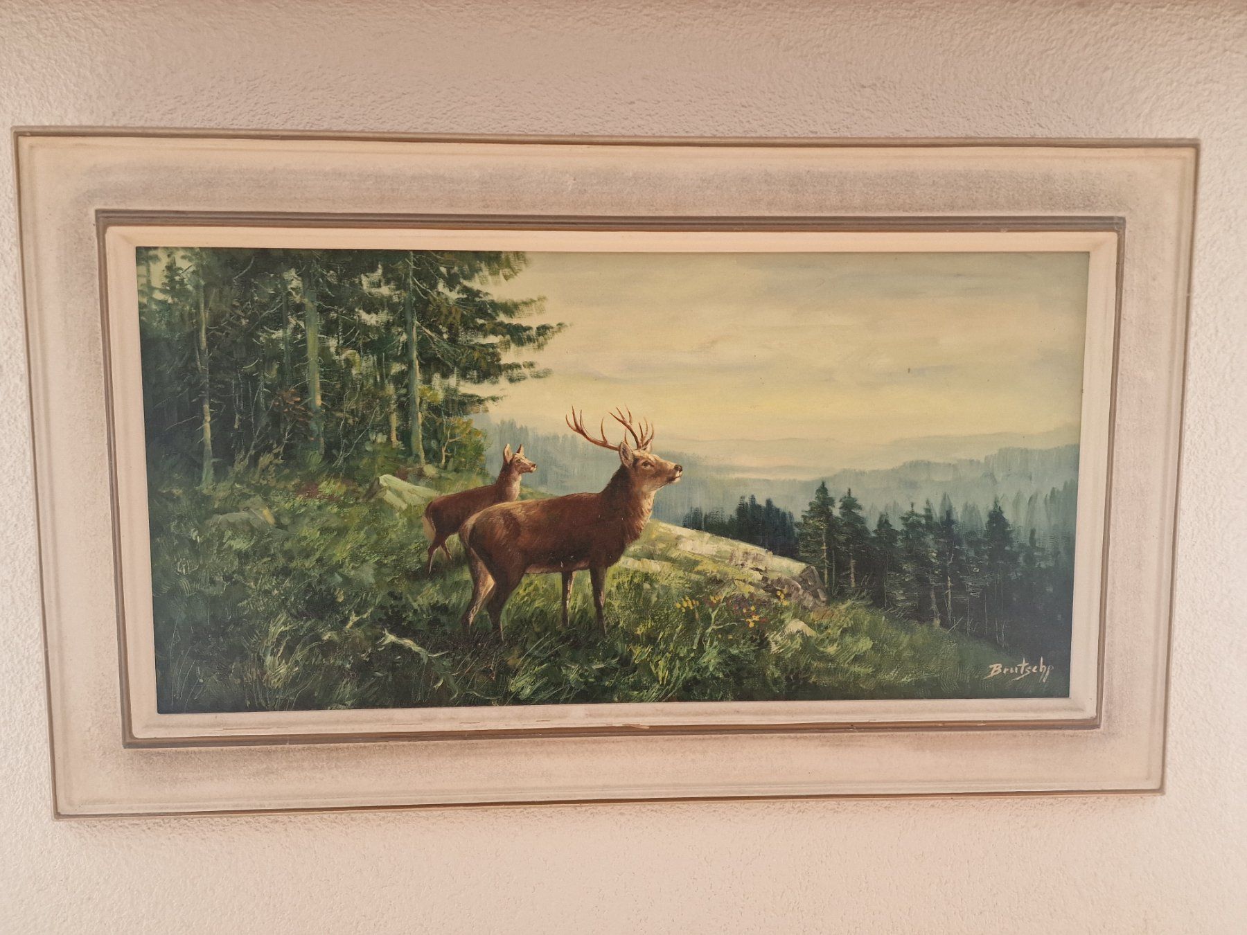 Foto & Immagini: Bild mit Rotwild – Usato da Urnäsch venduto da Rothirsch1954