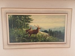 Bild mit Rotwild