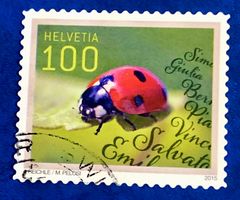 Nr.1565 Marienkäfer  Sondermarken  GESTEMPELT 2015  ﻿   