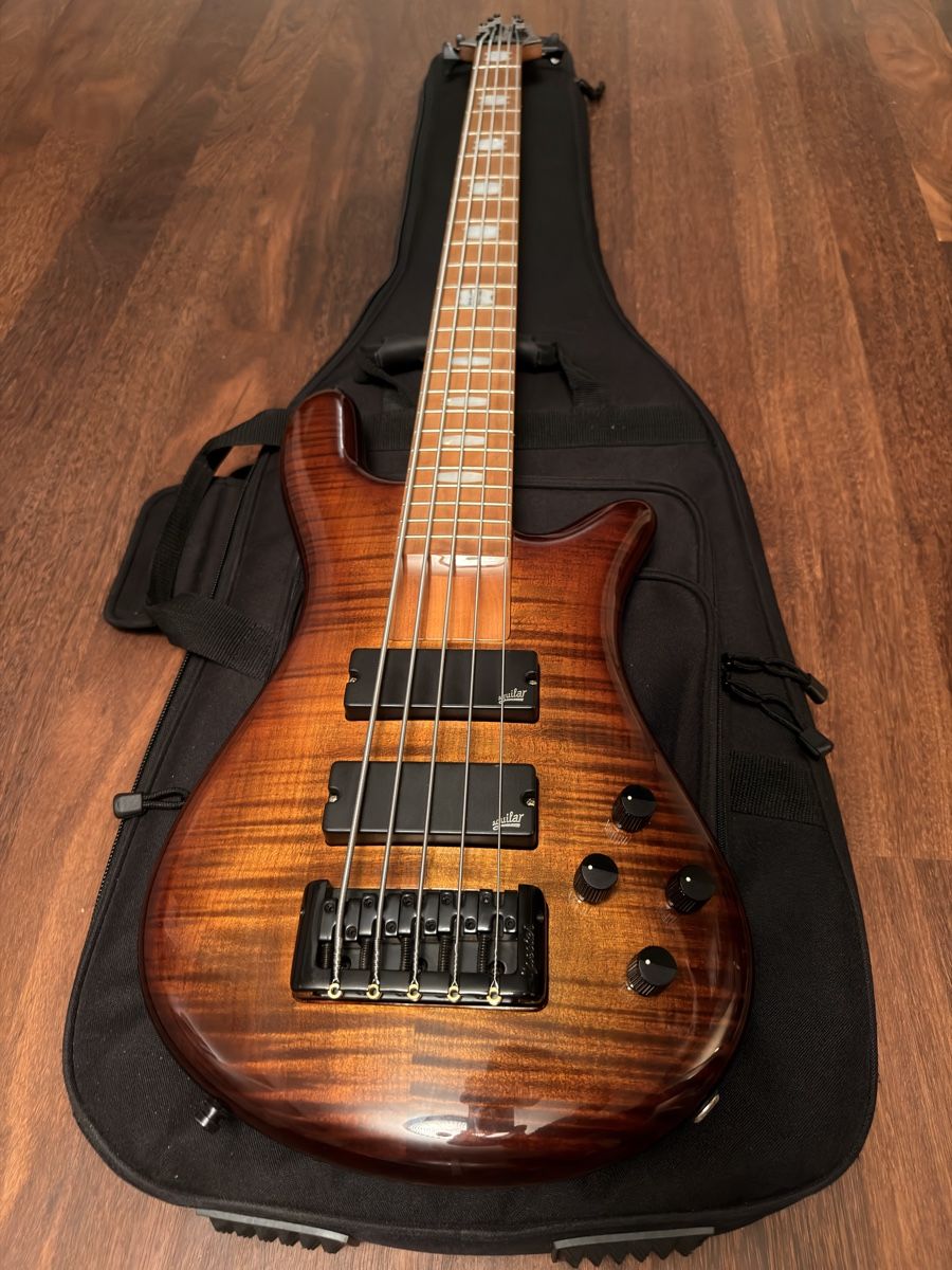 Strumenti musicali: Spector Eurobolt 5-String – Nuovo (secondo la descrizione) da Pfäffikon ZH venduto da roman-zuerich 4