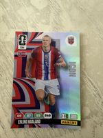 World cup 2026 Panini Erling Haaland Karte